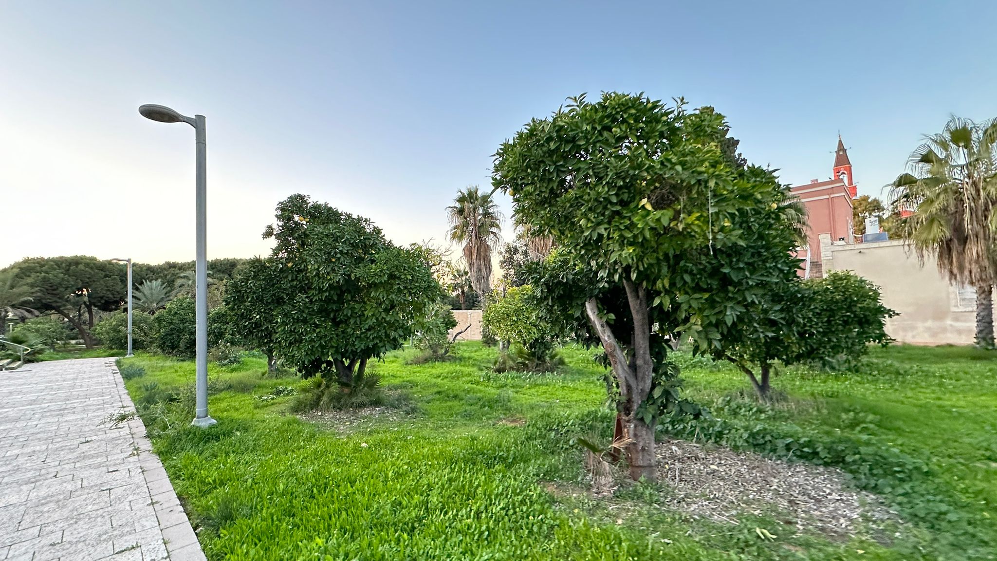 WhatsApp Image 2024-01-06 at 10.25.29 (1).jpg